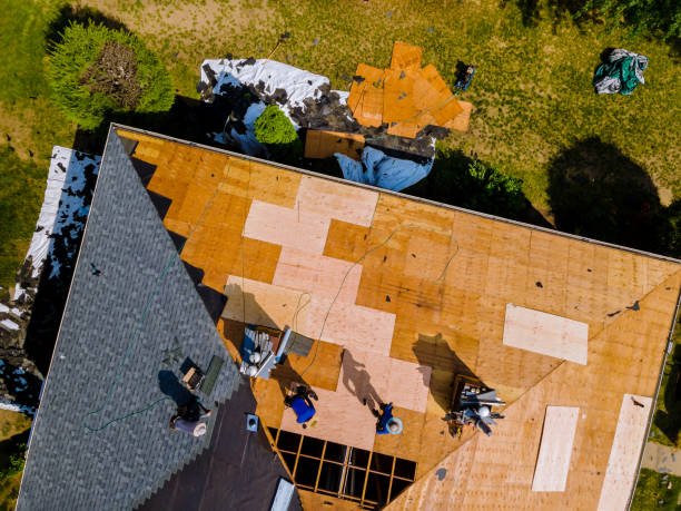 Professional Roofing Contractor in Paris, AR